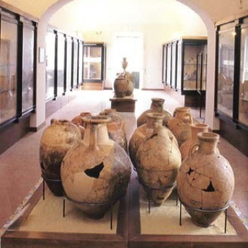 cover Museo archeologico di Pithecusae - Villa Arbusto